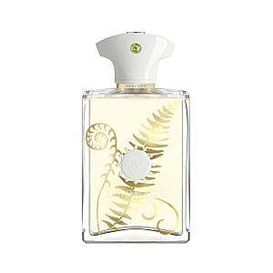 عطر براکن مردانه آمواژ | AMOUAGE Bracken Man EDP