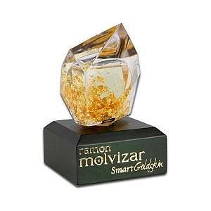 عطر ادکلن رامون مولویزار اسمارت گلد اسکین | Ramon Molvizar Smart Goldskin