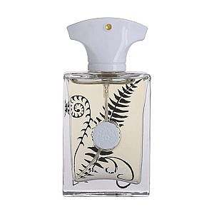 عطر مردانه براکن آمواج 25 میل دلگادو DELGADO